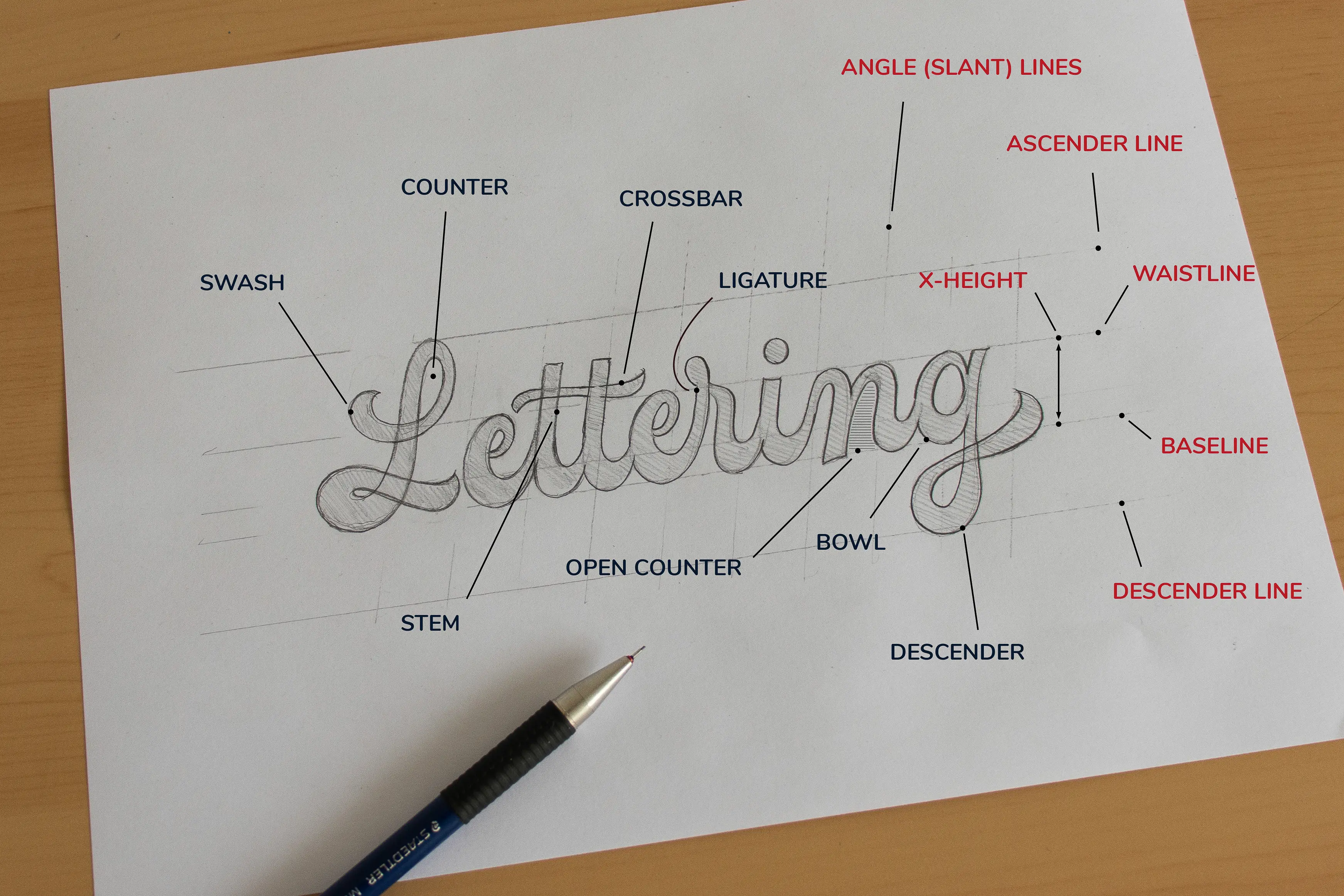 The Ultimate Hand Lettering Guide For Beginners - Lettering Daily