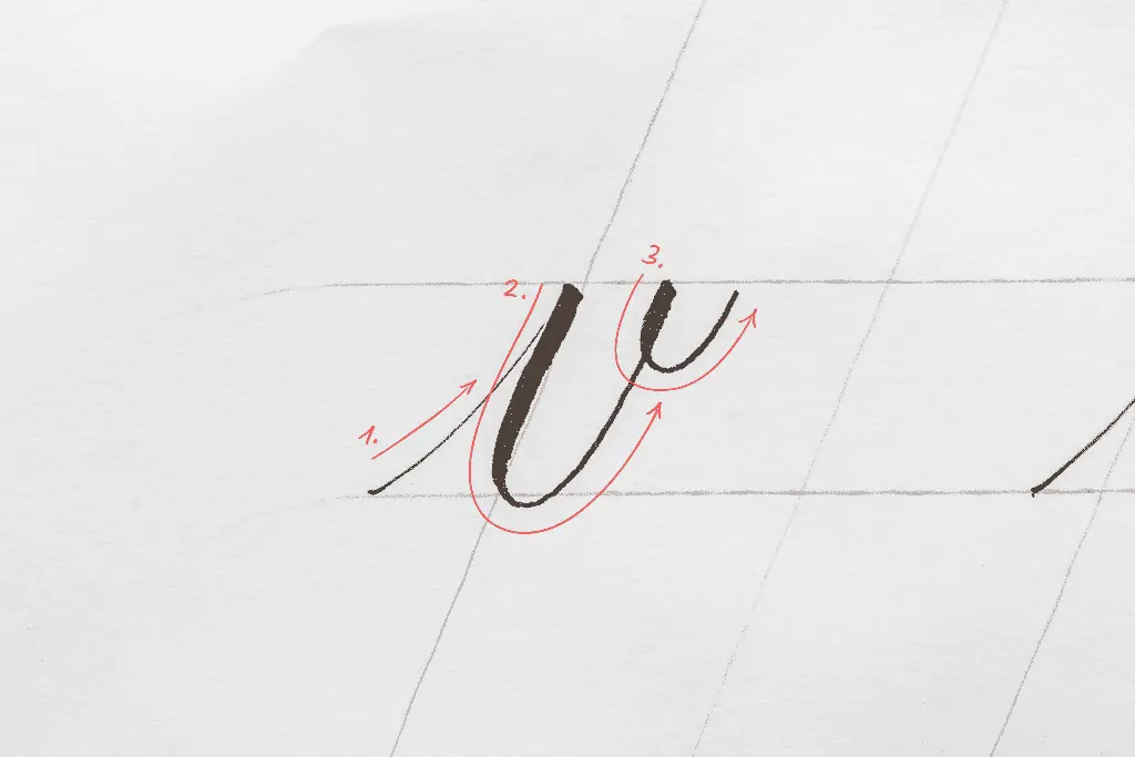 The letter v in calligraphy. 