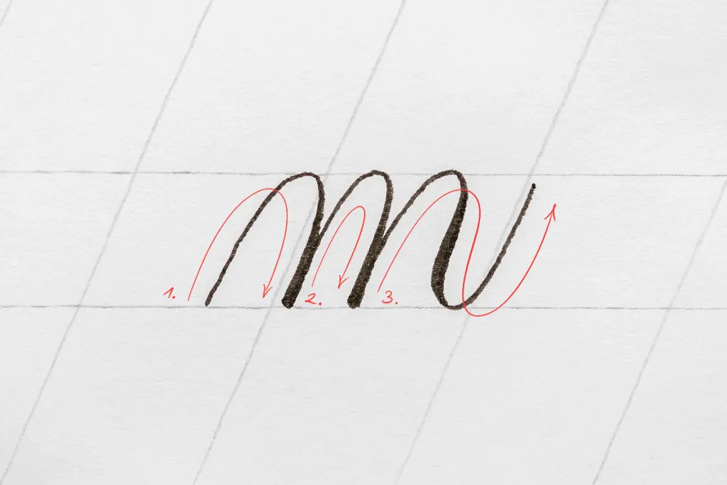 The letter m in calligraphy. 