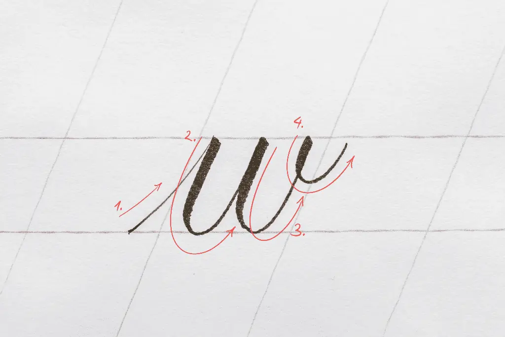 The letter w in calligraphy. 