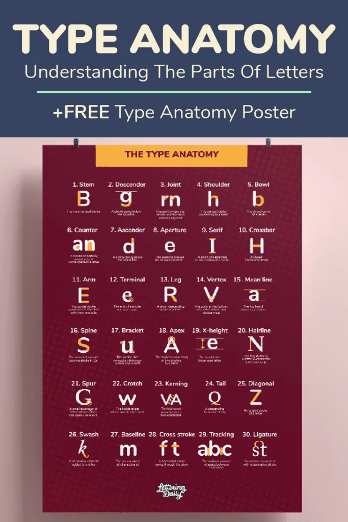 Type anatomy pinterest pin image